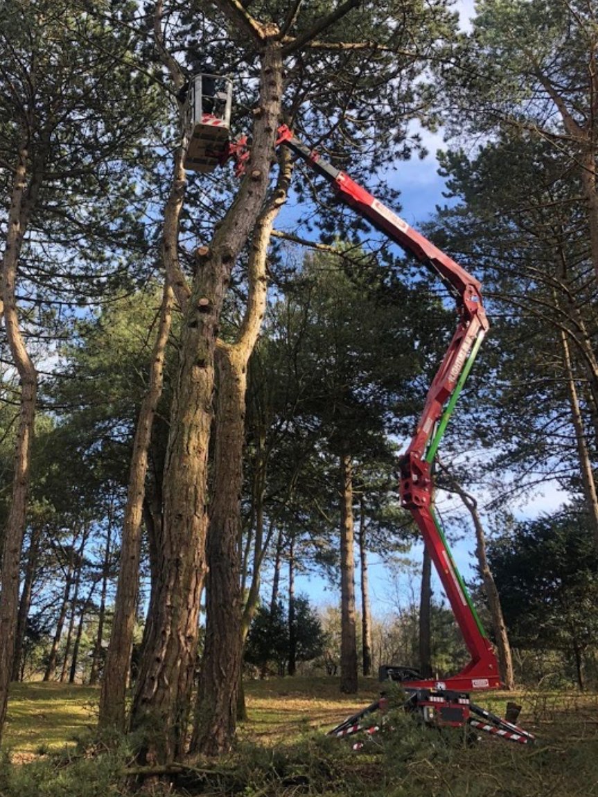 Boomverzorging Hoogwerker Natuurgebieden